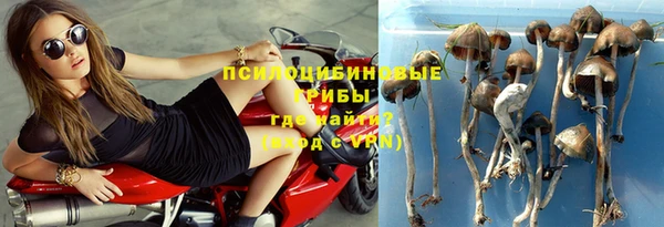 каннабис Карпинск